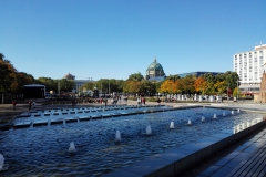Selbsthilfetag-Berlin-10_2019(26)