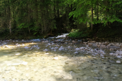Hintersee-23