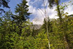 Hintersee-25