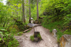 Hintersee-8