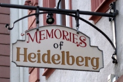 Heidelberg2010-2