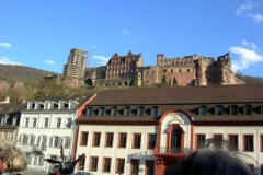 Heidelberg2010-4