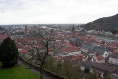Heidelberg2010-5