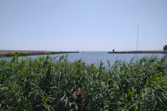 IMG_20230708_120716