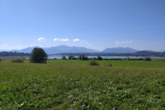 Chiemsee-07-10