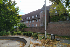 wir-insuliner-2023-1