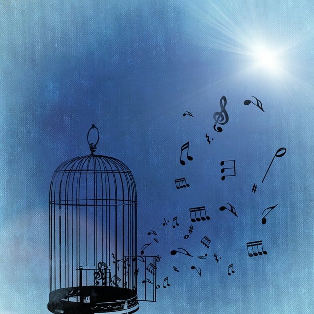 music-freedom